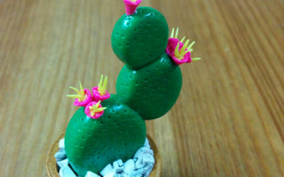 Green Cactus