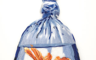 Goldfish