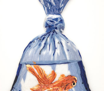 Goldfish