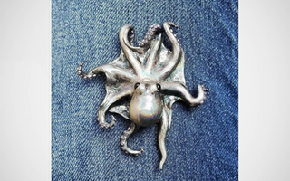 Holographic Octopus