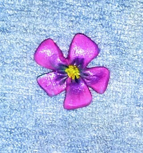 Purple Flower