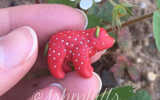 Strawberry Hybrid