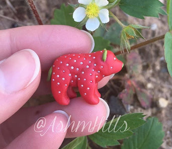 Strawberry Hybrid