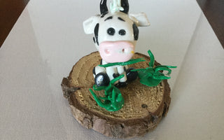 Cow Eating Grass