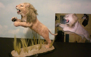 Leaping Lion