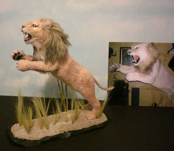 Leaping Lion