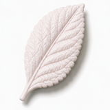 Cernit Pearl - White clay flower render