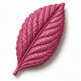 Cernit Metallic - Magenta clay flower render