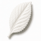 Cernit Opaline White clay flower render