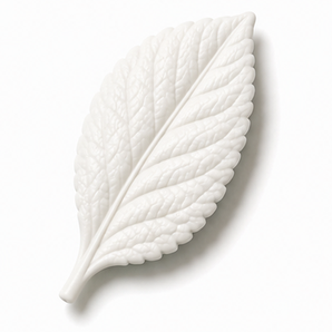Cernit Opaline White clay flower render