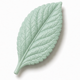 Cernit Opaline - Mint Green, 2 oz clay flower render
