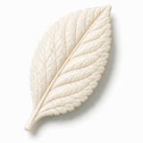 Cernit Number One Opaque White clay flower render