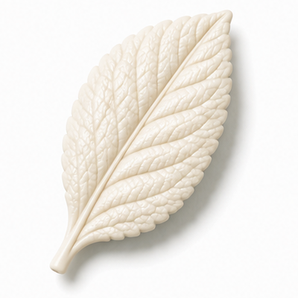Cernit Number One Opaque White clay flower render