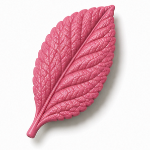 Cernit Number One Raspberry clay flower render