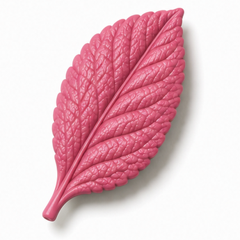 Cernit Number One Raspberry clay flower render
