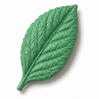 Cernit Number One - Green, 2oz clay flower render