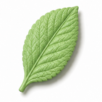 Cernit Number One - Light Green, 2oz clay flower render