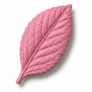Cernit Number One - Fuschia, 2oz clay flower render