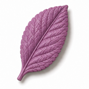 Cernit Number One - Mauve, 2oz clay flower render