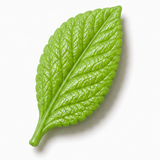Cernit Translucent - Lime Green, 2 oz clay flower render