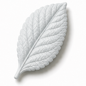 Cernit Nature - Granite clay flower render