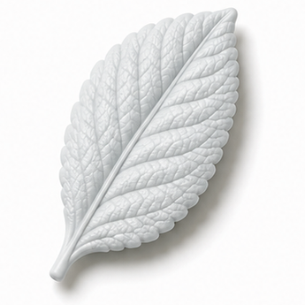 Cernit Nature - Granite clay flower render