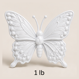 PE1_5001 White Premo butterfly